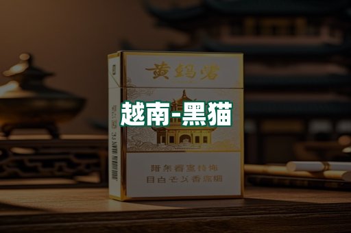 越南黑猫